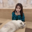 欢迎新人是依酱吖刚入职,送上精选摄影美图